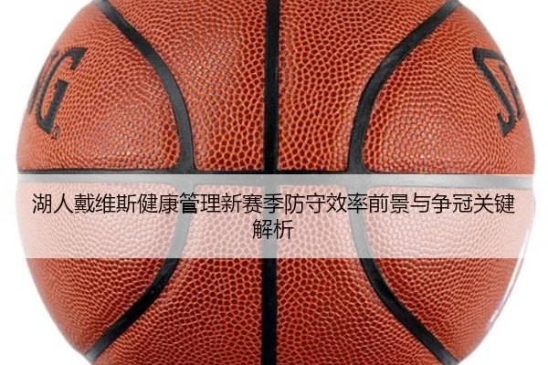 湖人戴维斯健康管理新赛季防守效率前景与争冠关键解析